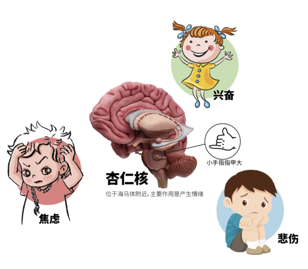 坏情绪会“攻击”身体的不同器官，要学会和坏情绪说拜拜~